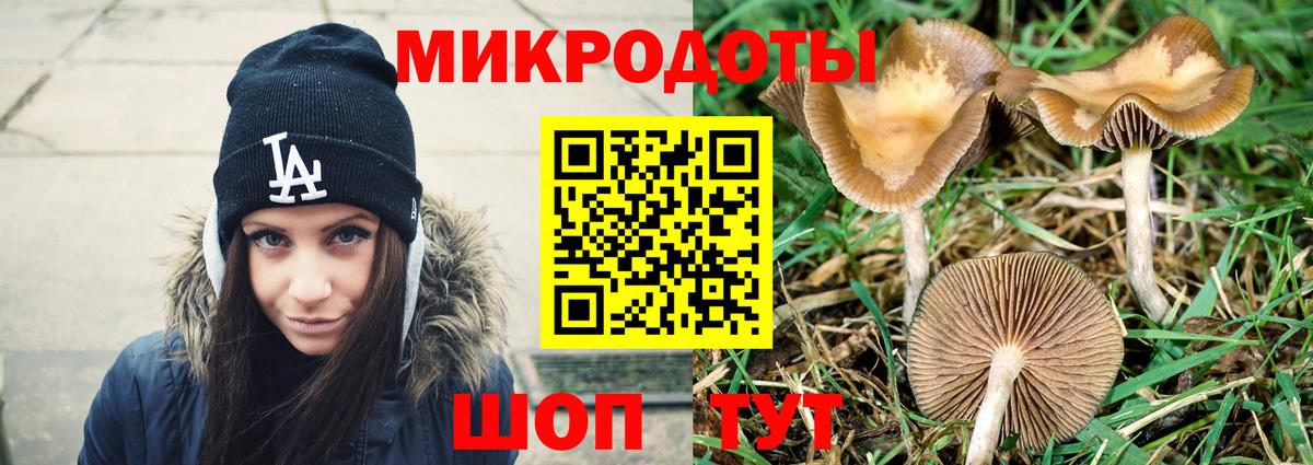 где купить   Вход с VPN  Карпинск  Псилоцибиновые грибы мухоморы 